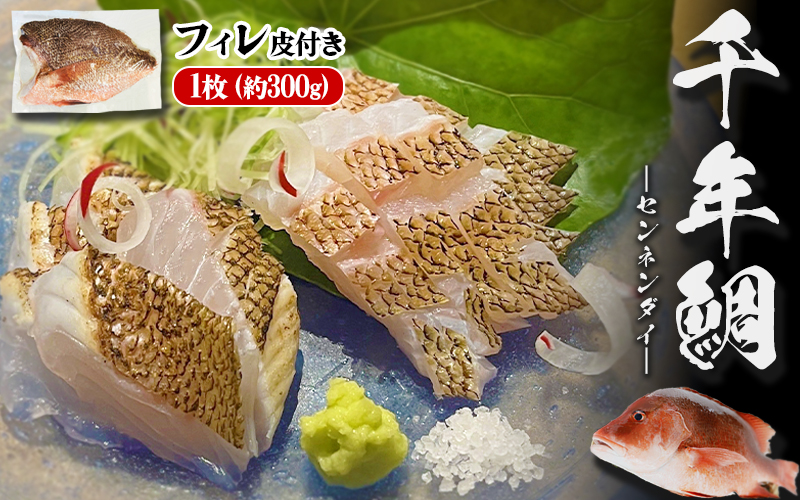 B2-7703／康秀の千年鯛 フィレ 皮つき 1枚（約300g）