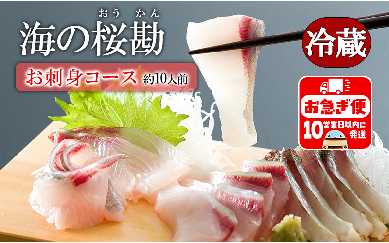 B2-0116／垂水カンパチ『海の桜勘』10人前 お刺身コース