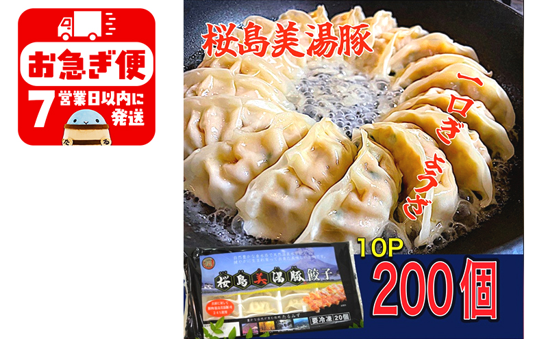 A1-0421／鹿児島県産桜島美湯豚　一口餃子　200個(20個×10パック)