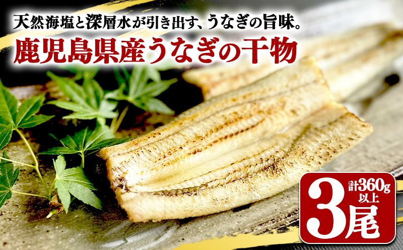 鹿児島県産　うなぎ干物　1尾（120g以上）×3袋