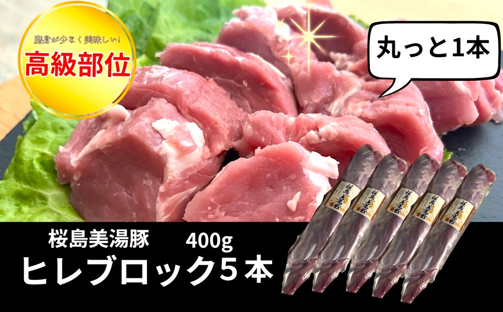 B2-0407／桜島美湯豚　ヒレ肉 5本