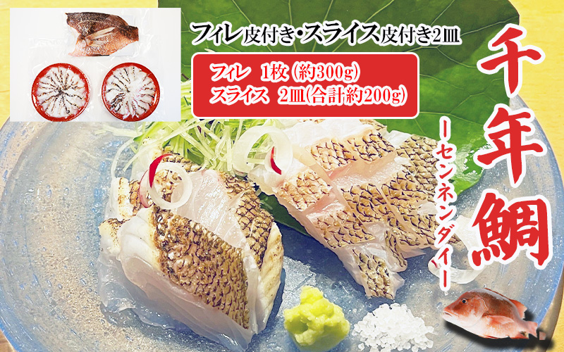 C3-7708／康秀の千年鯛 皮付きフィレ 1枚・皮付きスライス 2皿