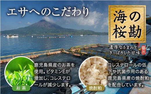 J11-0101／【3回定期】垂水カンパチ『海の桜勘』皮無しロイン 2.1kg （計6.3kg）