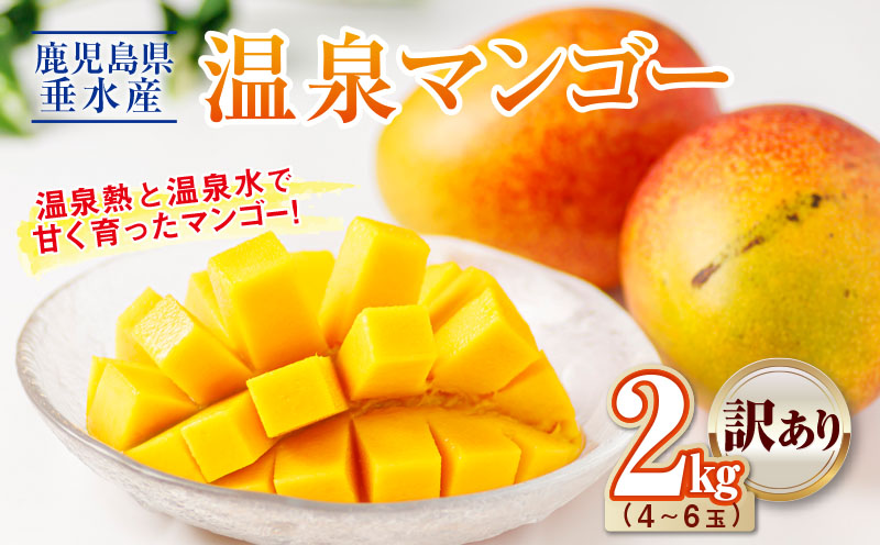 B2-22137／【訳あり品】鹿児島産 温泉マンゴー 2kg 期間限定 【2026年夏発送】