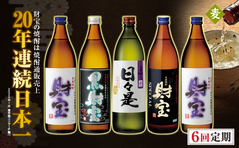 G7-2231／【 定期便 】 6回 届け・ 焼酎 4種5本 飲み比べセット 【5合瓶（麦）】 温泉水仕立て！ 財宝