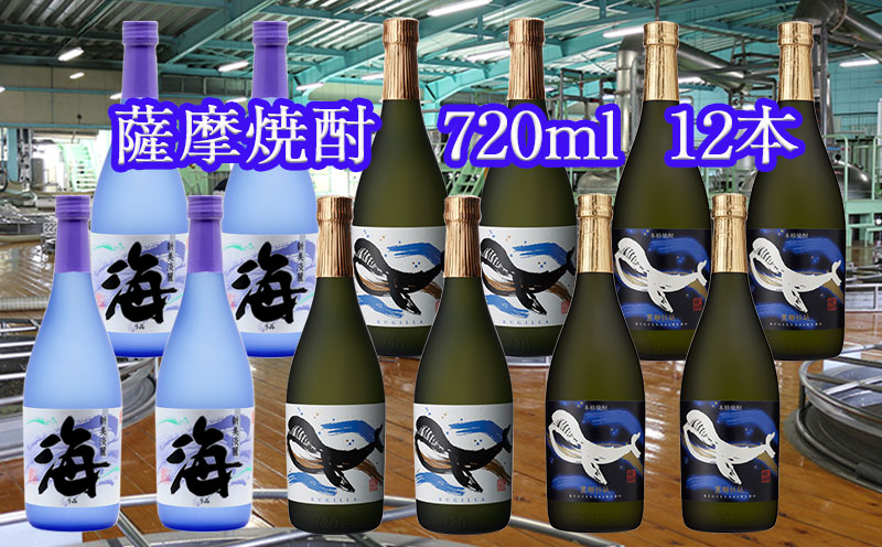 G7-2502／大海酒造特選飲み比べ 720ml 12本