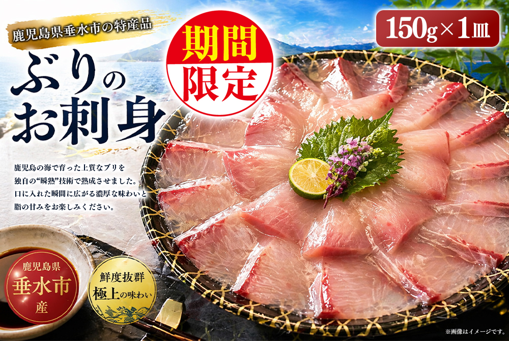 【冬季限定】瞬熟ぶり刺身 1皿（17cm皿・150g）