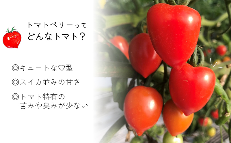 W-0715／フルーツみたいな トマトベリージャム　100g×2本