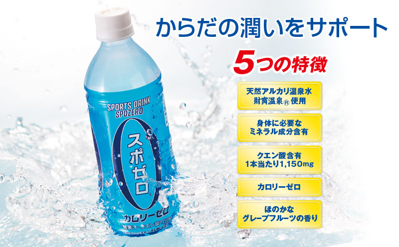 W-22174／財宝温泉のスポーツドリンク（ペットボトル）500ml×24本