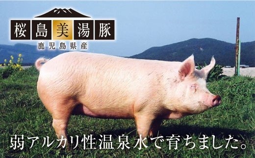 B2-4506／桜島美湯豚　ファミリー焼肉セット