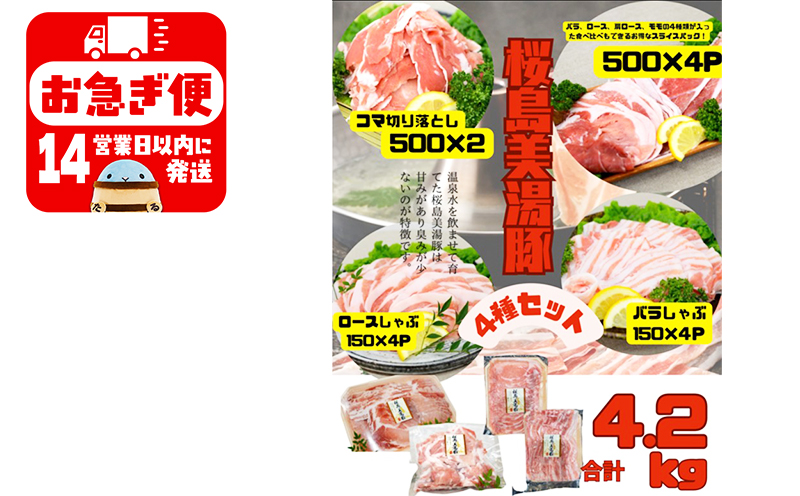 C3-0407／鹿児島県産 桜島美湯豚 4種セット 計4.2kg