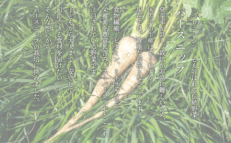 A1-5712ïŒããŒã¹ãããã1kg