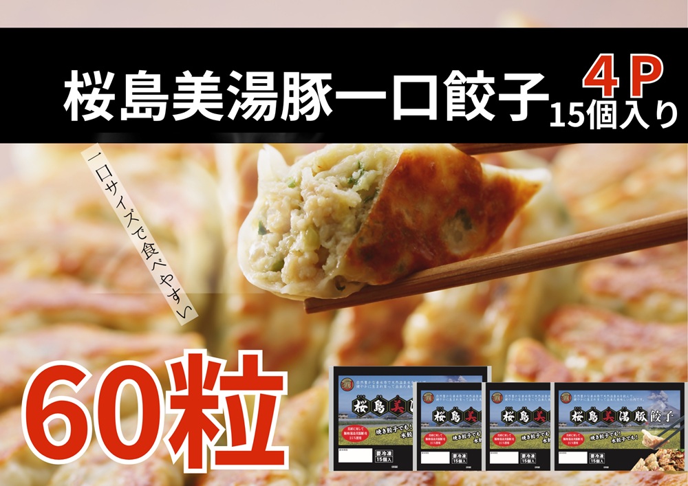 W-0416／桜島美湯豚　ひと口餃子 4P（計60個）