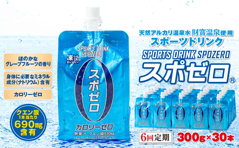 E5-2260／【6回定期】スポーツドリンク 300g×30本 スポゼロ パウチタイプ