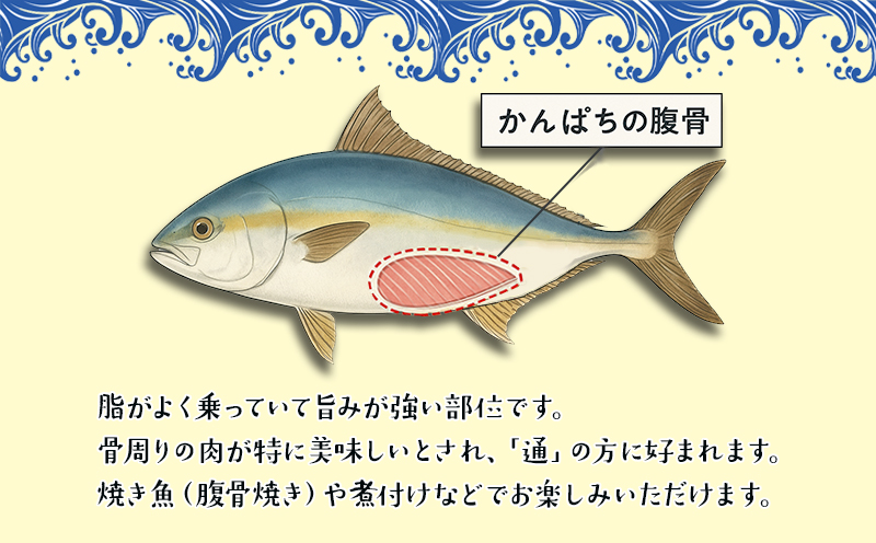 A1-0131／垂水カンパチ『海の桜勘』　腹骨 24個（計2kg以上）