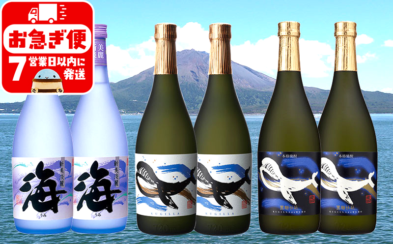 C3-25114／大海酒造 720ml 6本セット