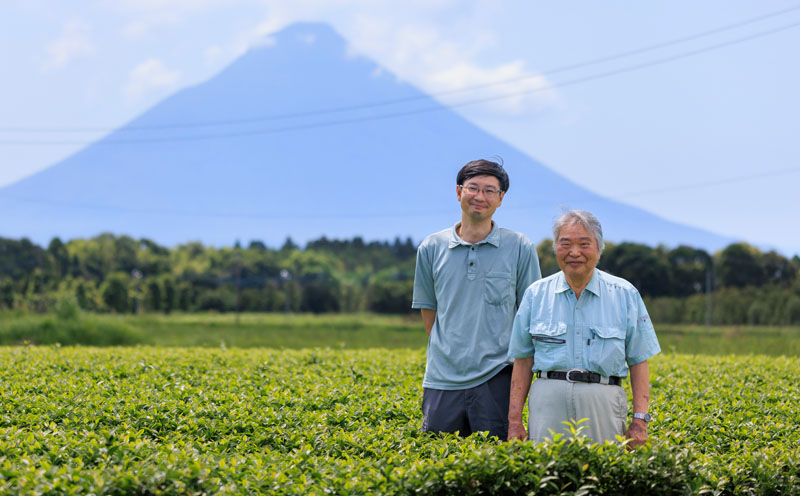 A1-22489／財宝のおいしい お茶 500ml×24本×2箱