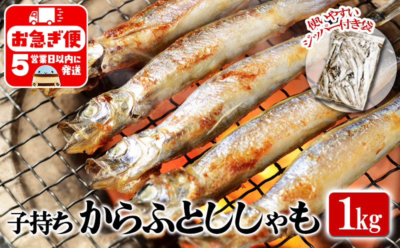 W-1804／冷凍 子持ち からふとししゃも 1kg