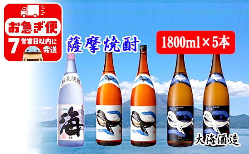 E5-25118／大海酒造　特選　5本セット