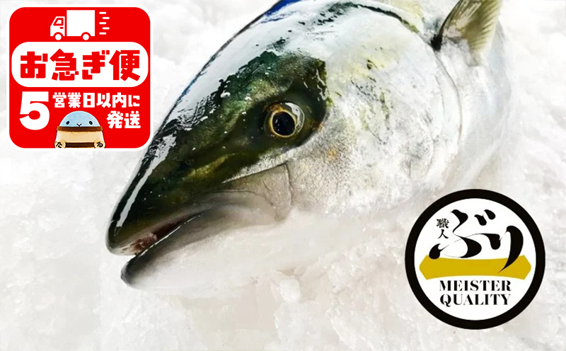 D4-4704／【鹿児島産ぶり】冷蔵・ぶり丸ごと1尾（内臓処理済み）