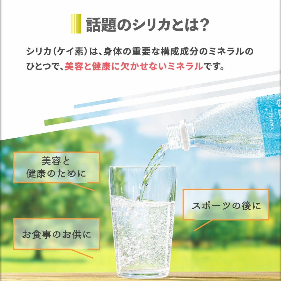 G7-2237／【6回定期】財寶温泉強炭酸水 500ml×48本 財宝
