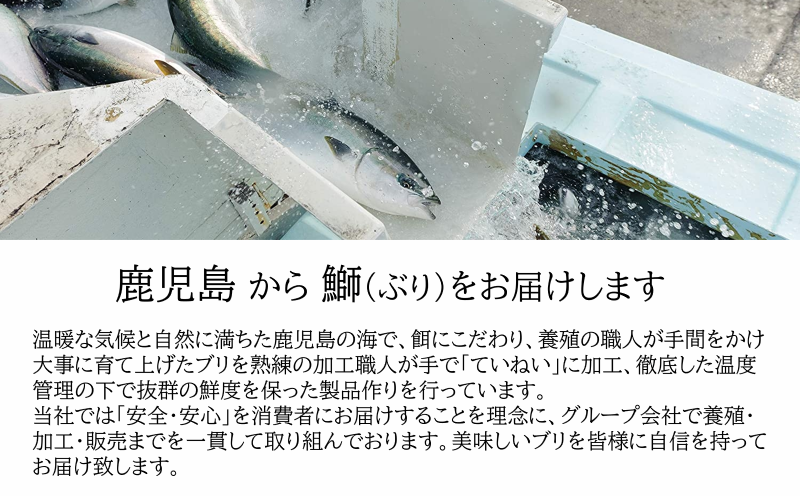 A1-47118／【鹿児島産ぶり冷凍】漬け焼き魚・塩麹漬け３ｐ