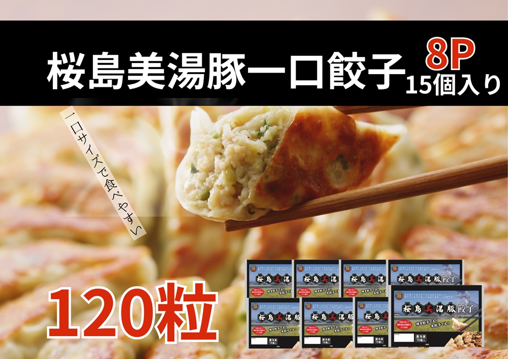 A1-0448／桜島美湯豚　ひと口餃子 8P（計120個）