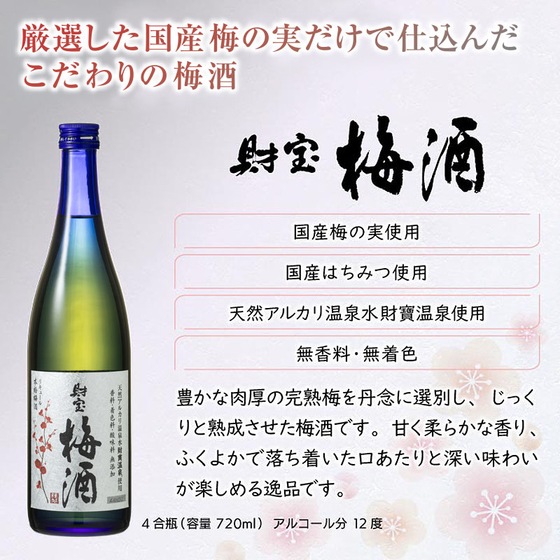 B2-2295／【3回定期】濃厚な味わい！梅酒2本