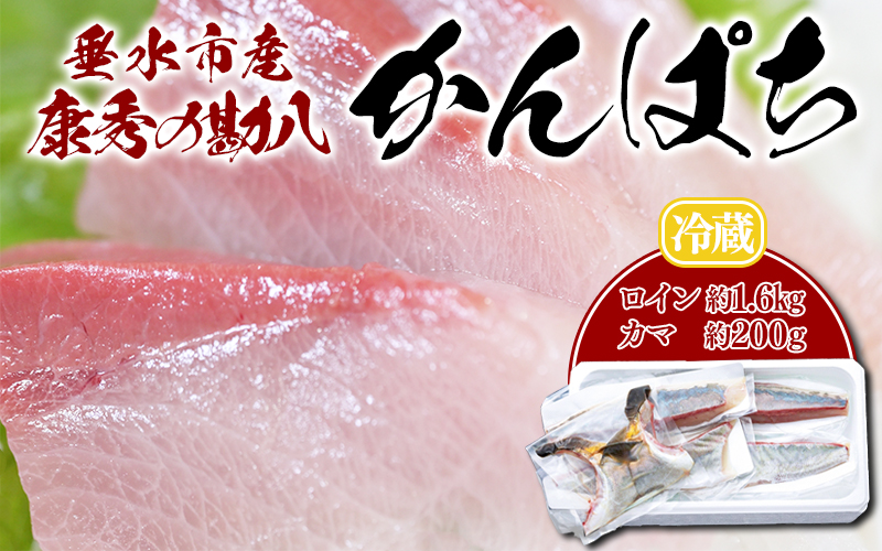 D4-7703／康秀の勘八 ロイン 4柵 ＋ カマ 2個（計約1.8kg）冷蔵