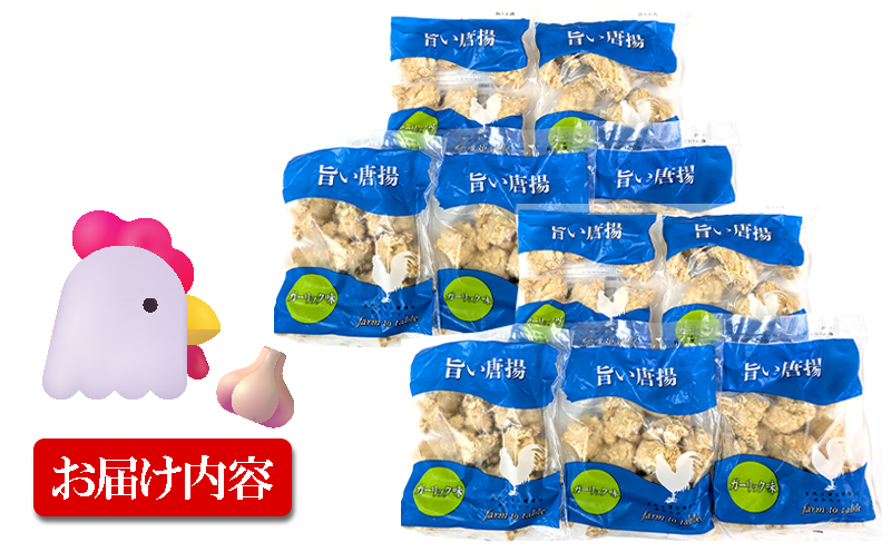 B2-2139／国産 から揚げ　ガーリック味　10袋
