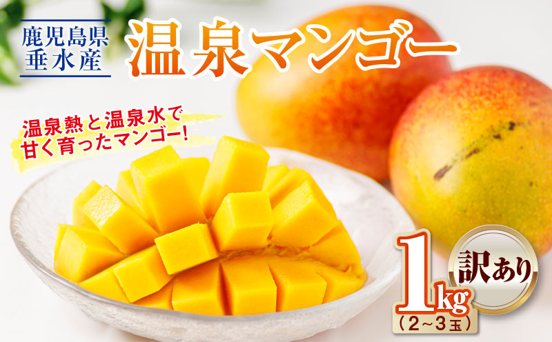 A1-22552ïŒãèš³ããåã鹿å
å³¶ç£ æž©æ³ãã³ãŽãŒ 1kg æééå® ã2026幎å€çºéã