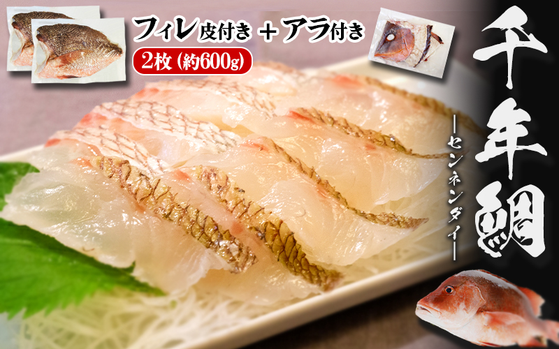 C3-7707／康秀の千年鯛 フィレ 2柵（皮つき・計約600g）＋アラ付