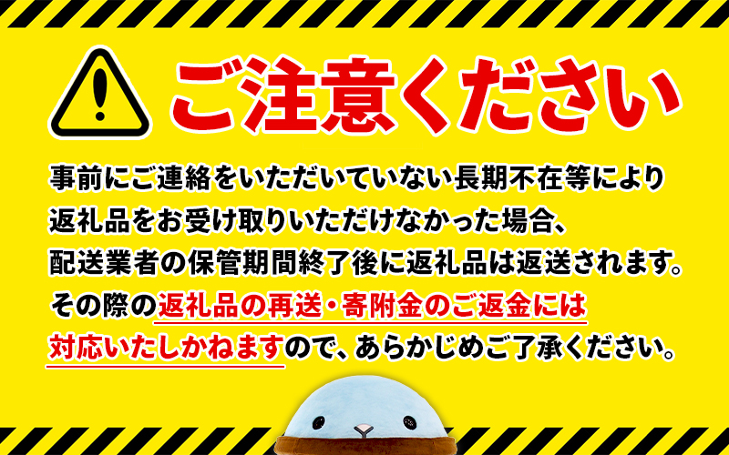 I9-2210／【6回定期】スポーツドリンク 300g×60本 スポゼロ パウチタイプ