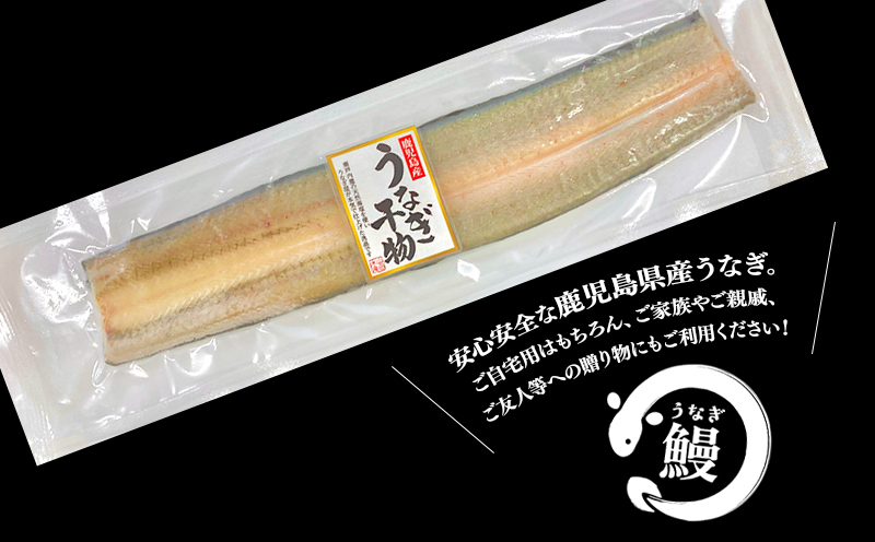 鹿児島県産　うなぎ干物　1尾（120g以上）