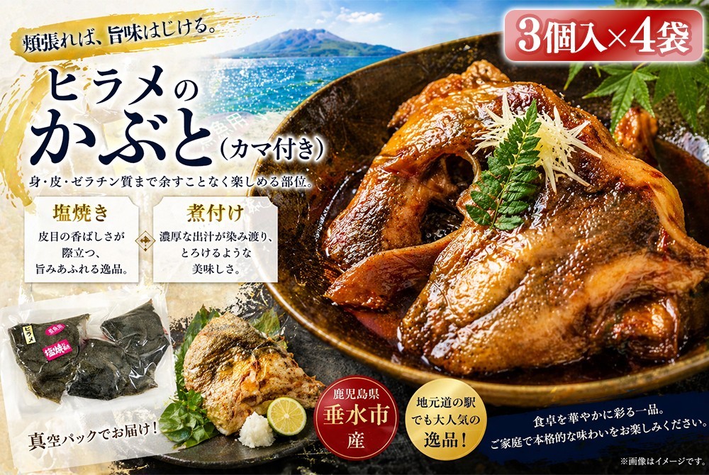 W-7608／ひらめのかぶと(カマ付) 12個