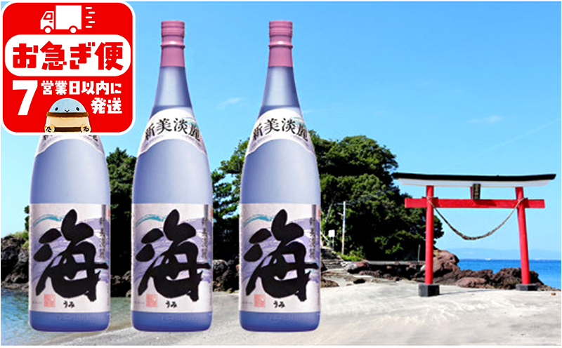 C3-25115／大海酒造　海　1800ml×3本セット