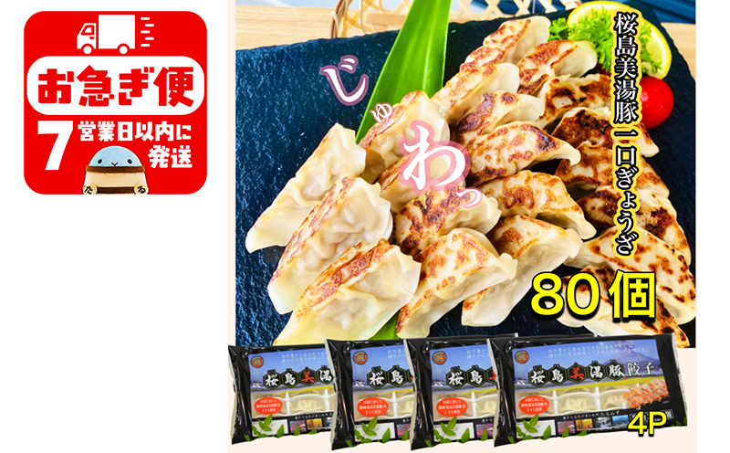 A1-0419／鹿児島県産桜島美湯豚　一口餃子　80個(20個×4パック)