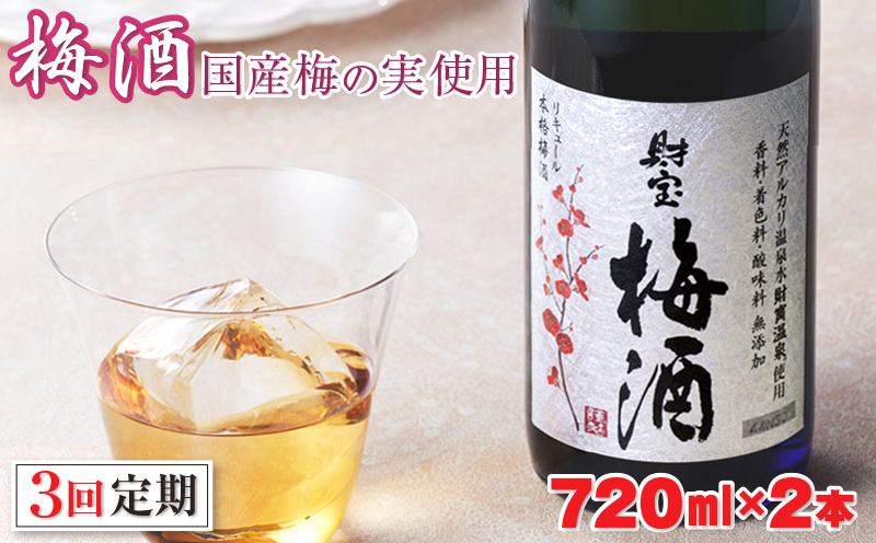 B2-2295／【3回定期】濃厚な味わい！梅酒2本