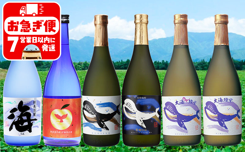 D4-25109／大海酒造こだわり焼酎 720ml 6本セット