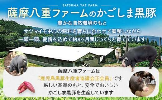 AS-165 かごしま黒豚ロース肉しゃぶしゃぶ用 500g 株式会社薩摩八重ファーム