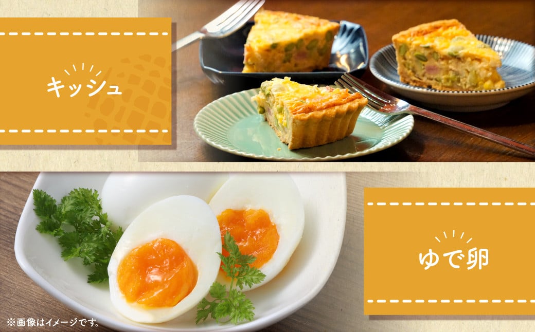 【2026年2月発送】電子たまご（白玉） 30個 卵 たまご 白玉 ZS-534-2