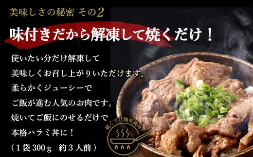 【6回定期便】やわらか 牛ハラミ（サガリ）肉 極旨秘伝醤油タレ漬け（300g×2袋）訳あり ハラミ 牛肉 個包装 焼肉 BS-850