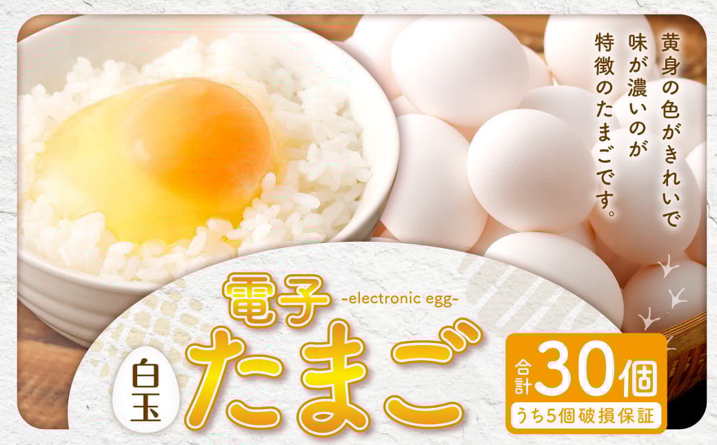 【2026年2月発送】電子たまご（白玉） 30個 卵 たまご 白玉 ZS-534-2