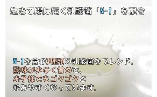 【12回定期便】“牛乳屋さんがつくった”のむヨーグルト 500ml×5本×12回 合計30L 無添加 県酪農協牛乳 HS-307