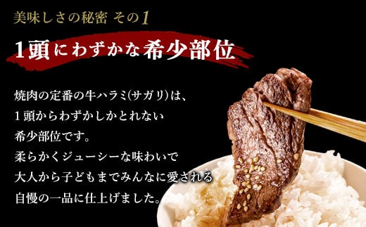 【隔月３回定期便】やわらか 牛ハラミ（サガリ）肉 極旨秘伝醤油タレ漬け（300g×4袋）訳あり ハラミ 牛肉 個包装 焼肉 CS-033