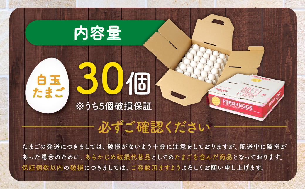 【2026年2月発送】電子たまご（白玉） 30個 卵 たまご 白玉 ZS-534-2