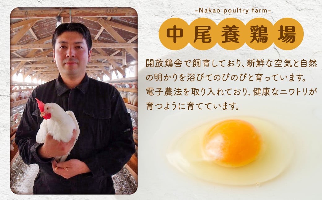 【2026年2月発送】電子たまご（白玉） 30個 卵 たまご 白玉 ZS-534-2