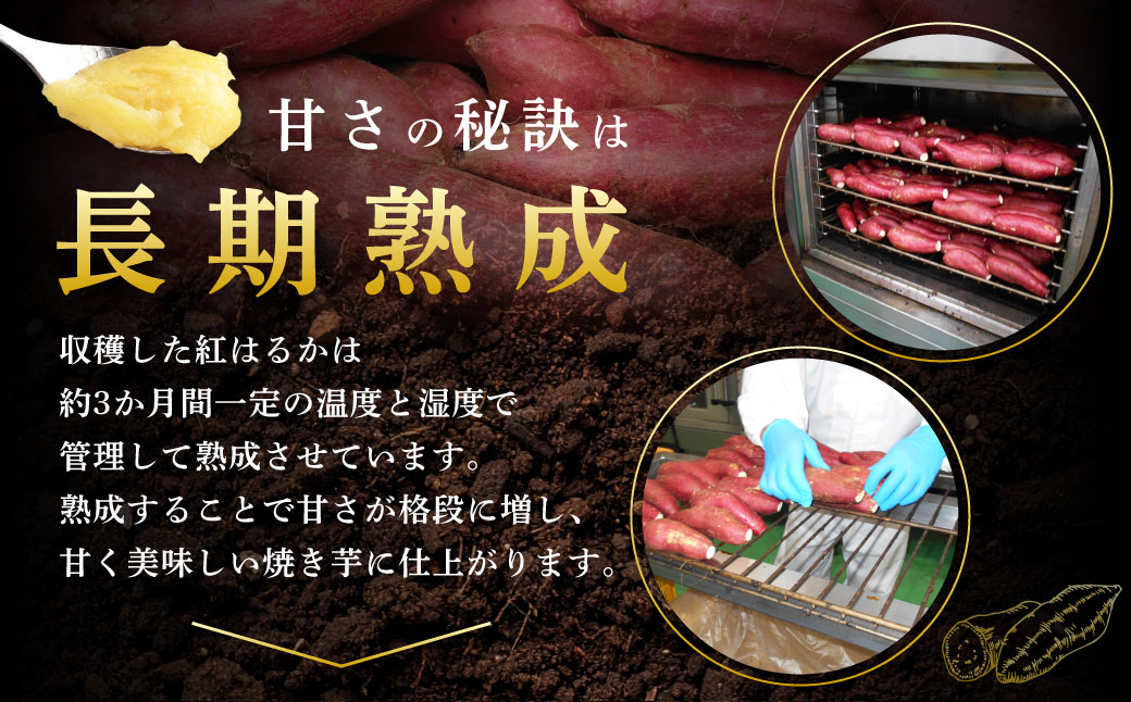 Z-593 鮖ソ蜈仙ウカ逵檎肇邏縺ッ繧九°蜀キ蜃咲┥縺崎葛 テ3陲