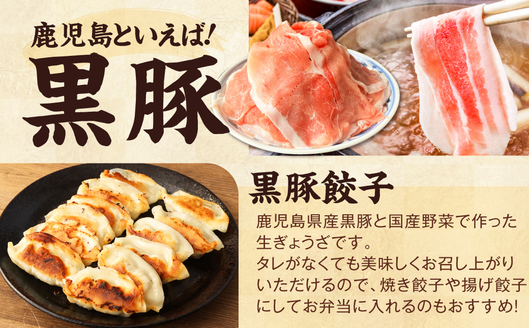 AS-086 【お楽しみ福袋B】鹿児島の美味しいが届く！5品以上