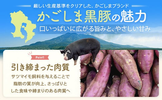 AS-2098 【訳あり】黒豚農場薩摩八重ファームのかごしま黒豚切り落とし（ウデ・モモ） 2kg SDGs未来都市薩摩川内